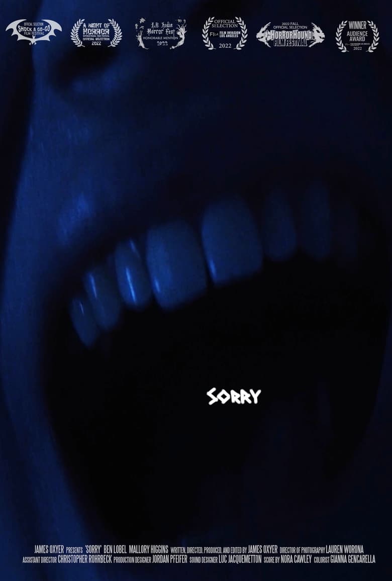 Poster of Sorry