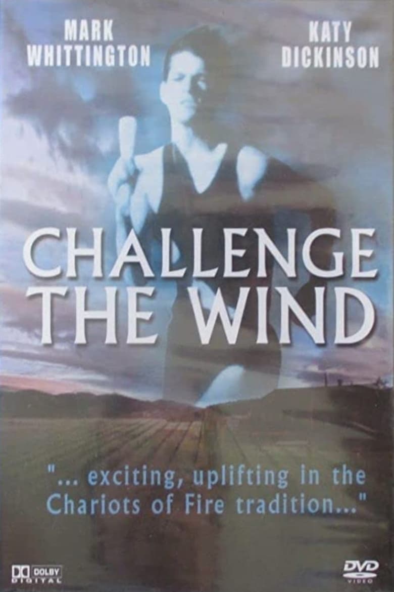 Poster of Challenge the Wind