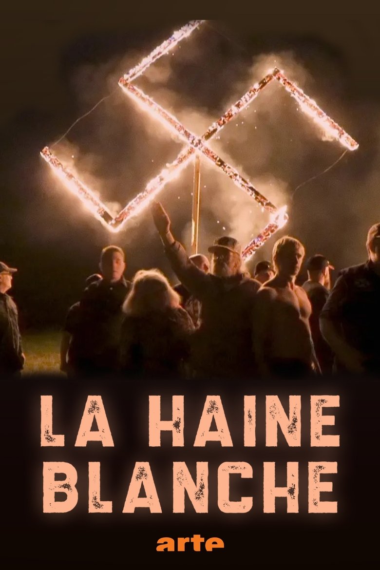 Poster of La haine blanche