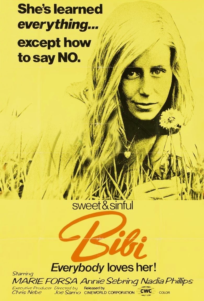 Poster of Bibi