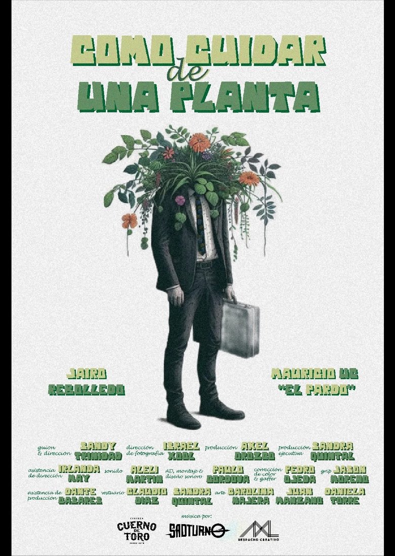 Poster of How to care for a plant