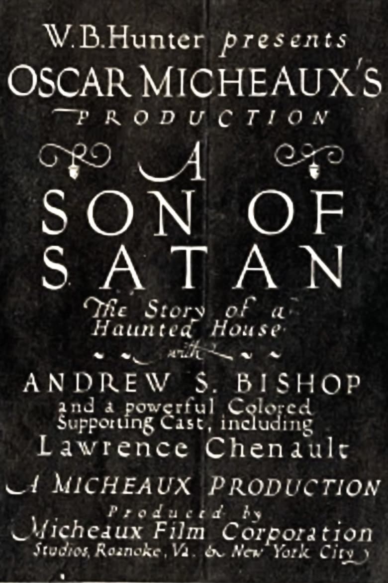 Poster of A Son of Satan