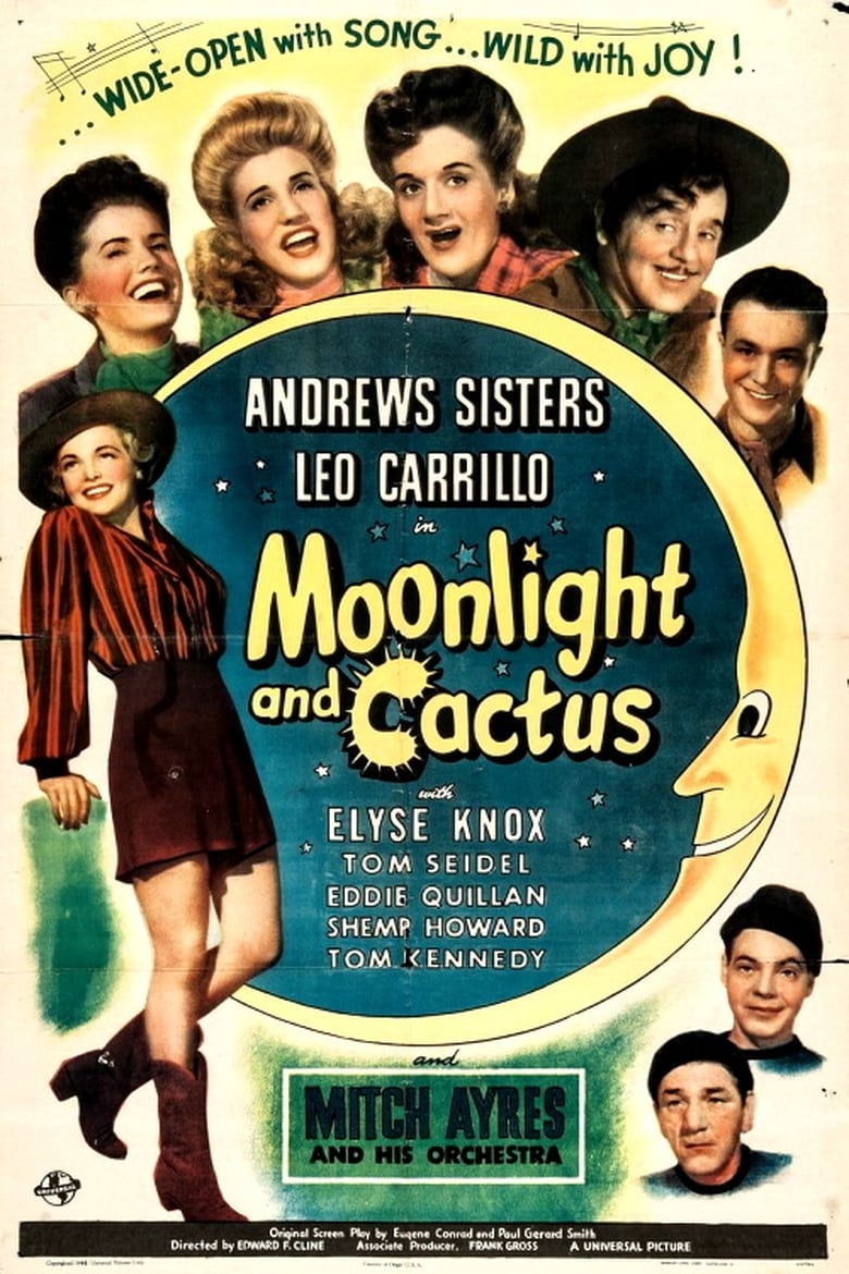 Poster of Moonlight and Cactus