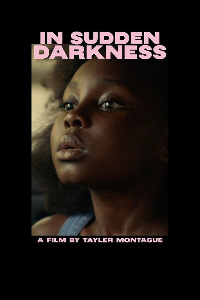 Poster of In Sudden Darkness