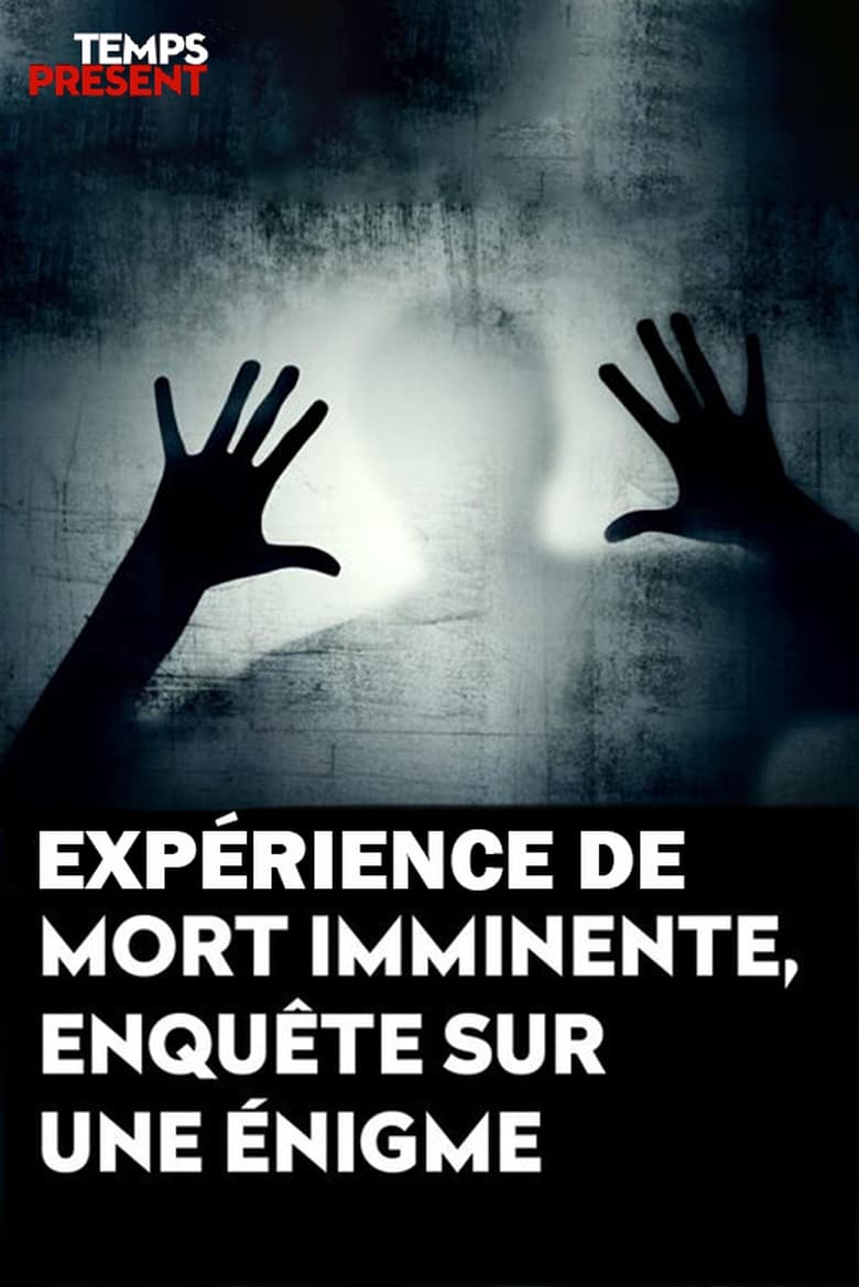 Poster of Temps présent - expérience de mort imminente, enquête sur une énigme