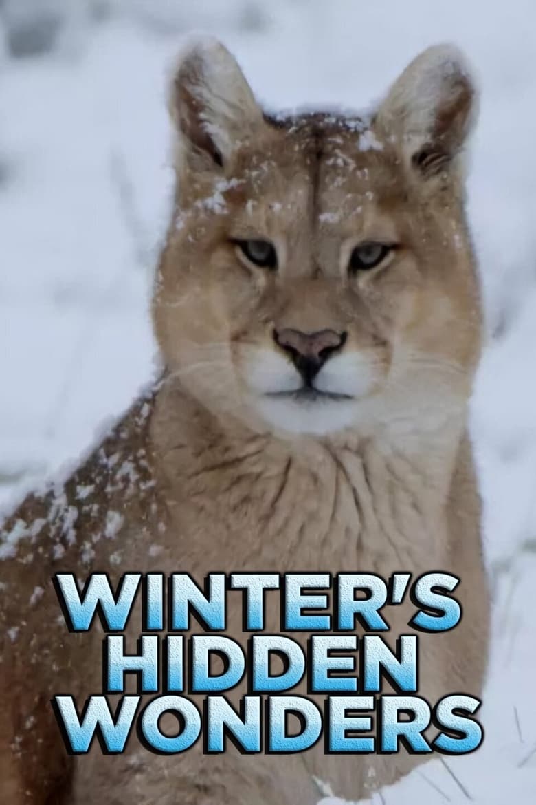 Poster of Episodes in Winter's Hidden Wonders - Season 1 - Season 1