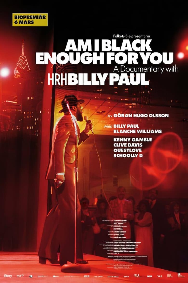 Poster of Am I Black Enough for You