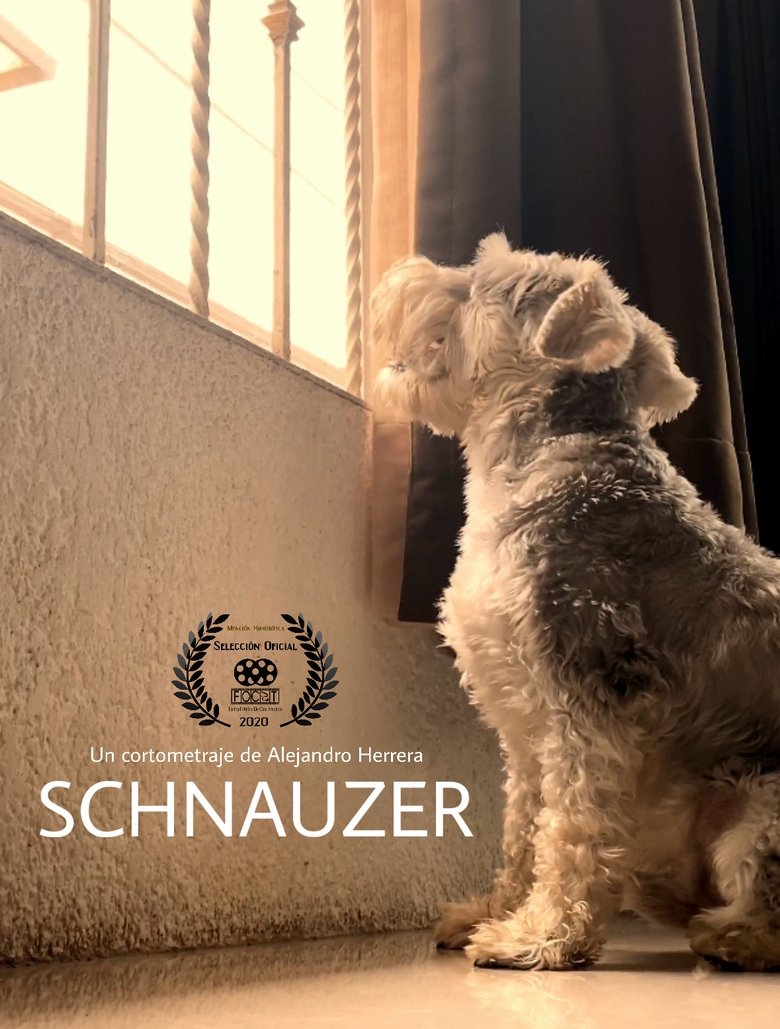Poster of Schnauzer