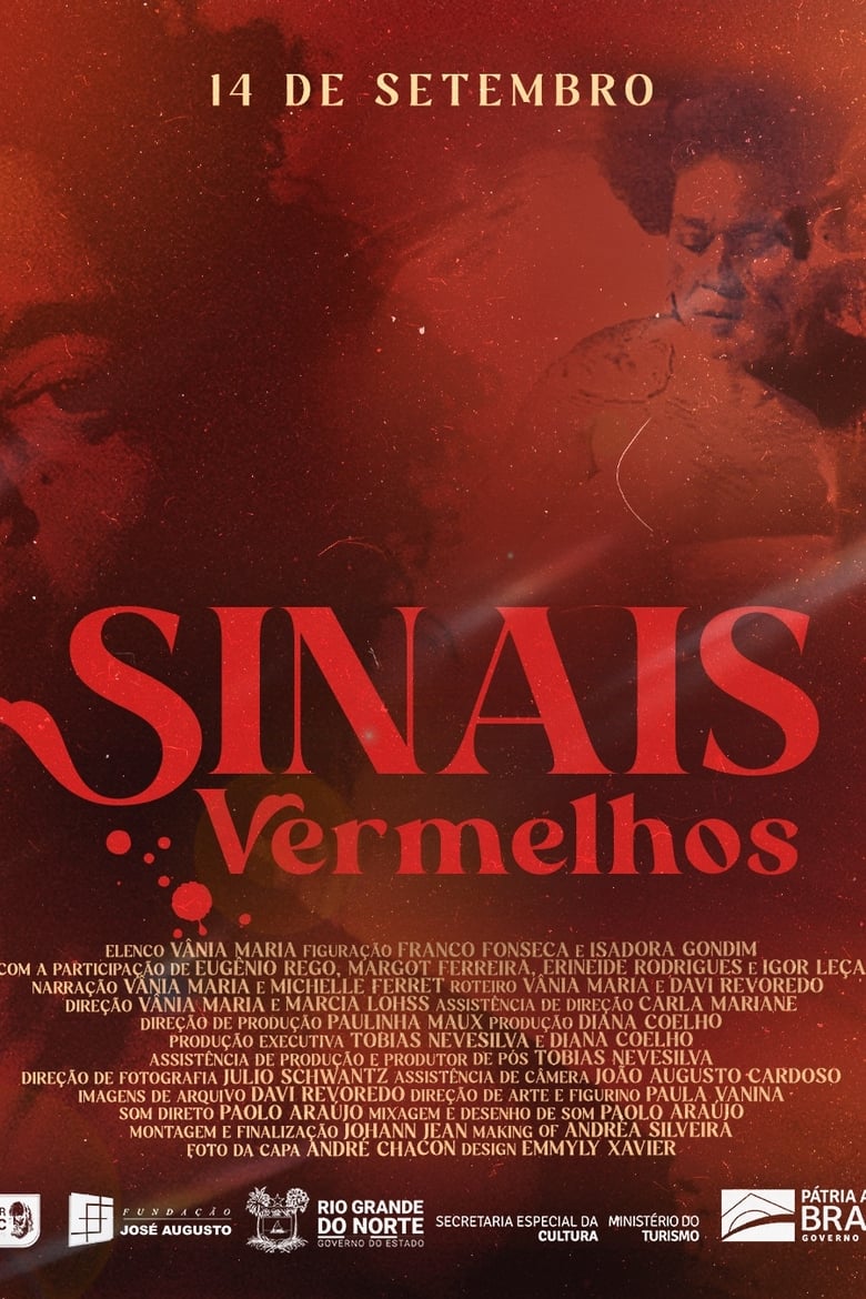 Poster of Sinais Vermelhos