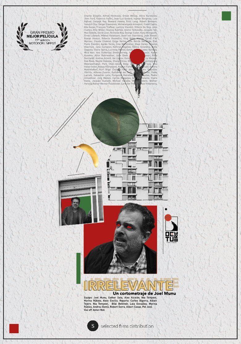 Poster of Irrelevante