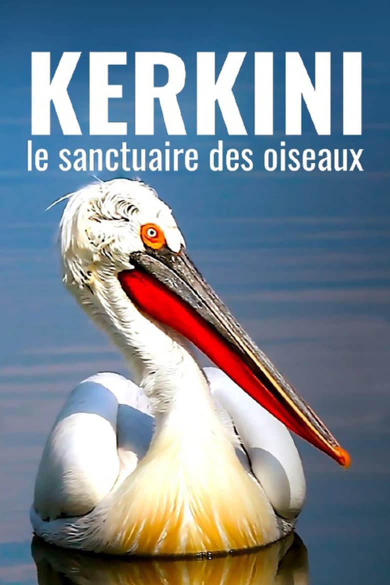 Poster of Kerkini: The Bird Sanctuary