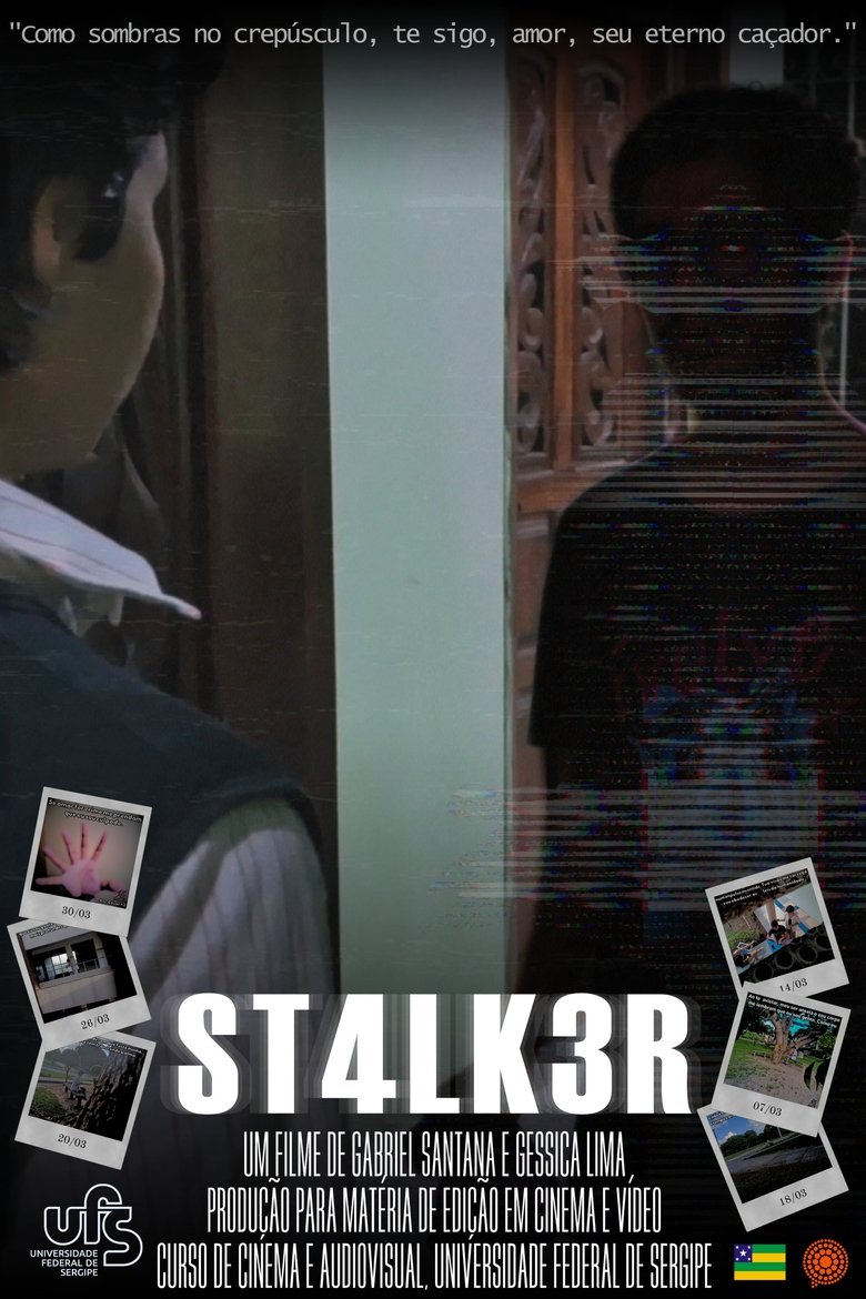Poster of ST4LK3R