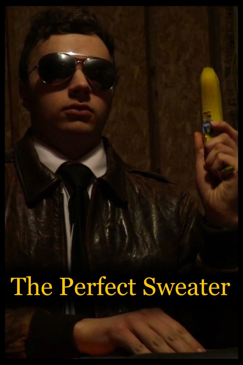 Poster of The Perfect Sweater