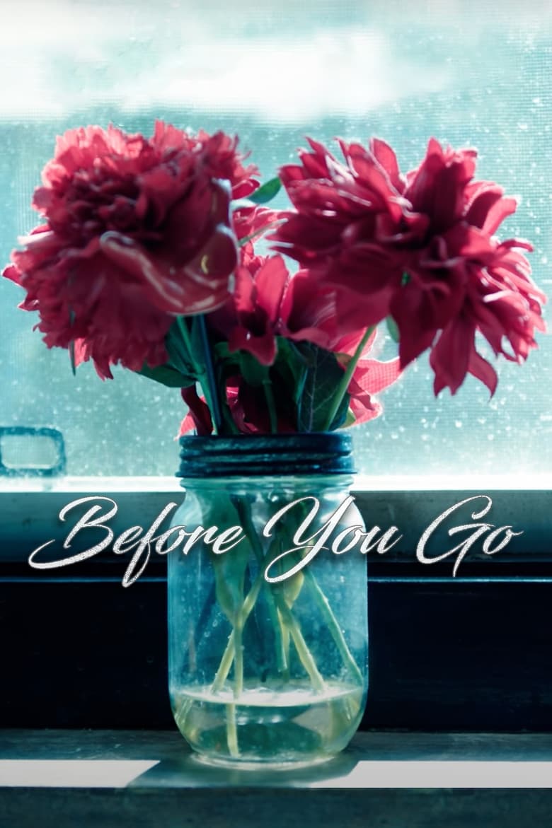 Poster of Before You Go