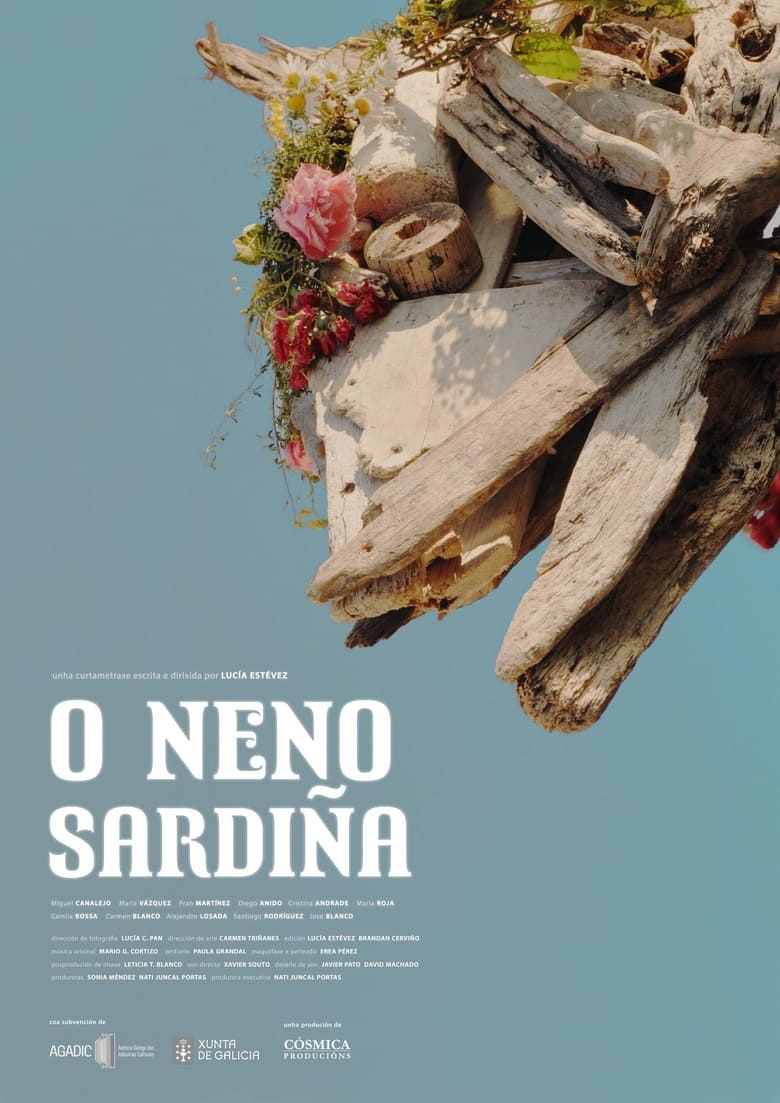 Poster of O neno sardiña