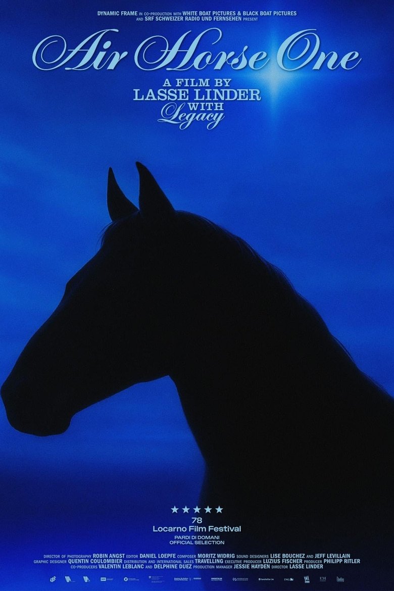 Poster of Air Horse One