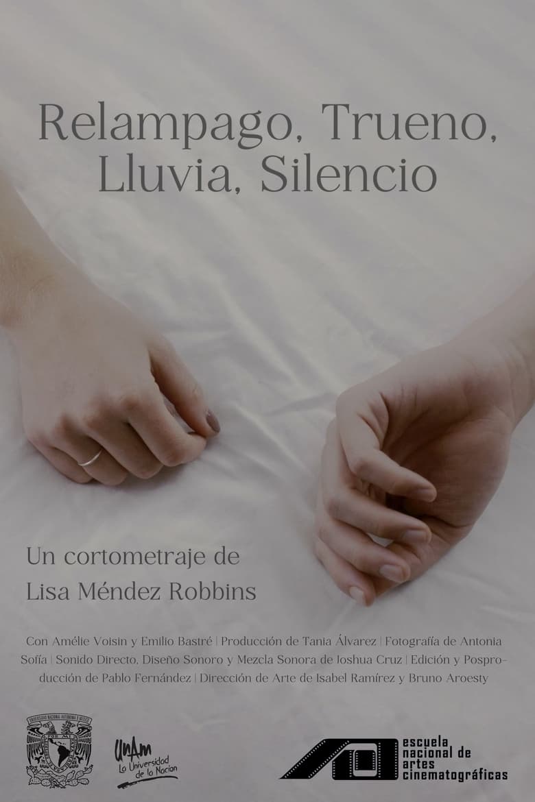 Poster of Silence After Storm