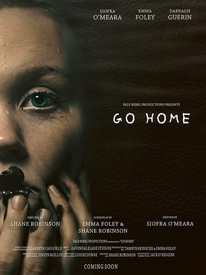 Poster of Go Home