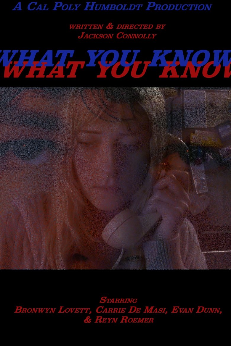 Poster of What You Know