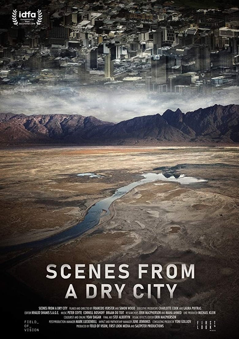 Poster of Scenes from a Dry City