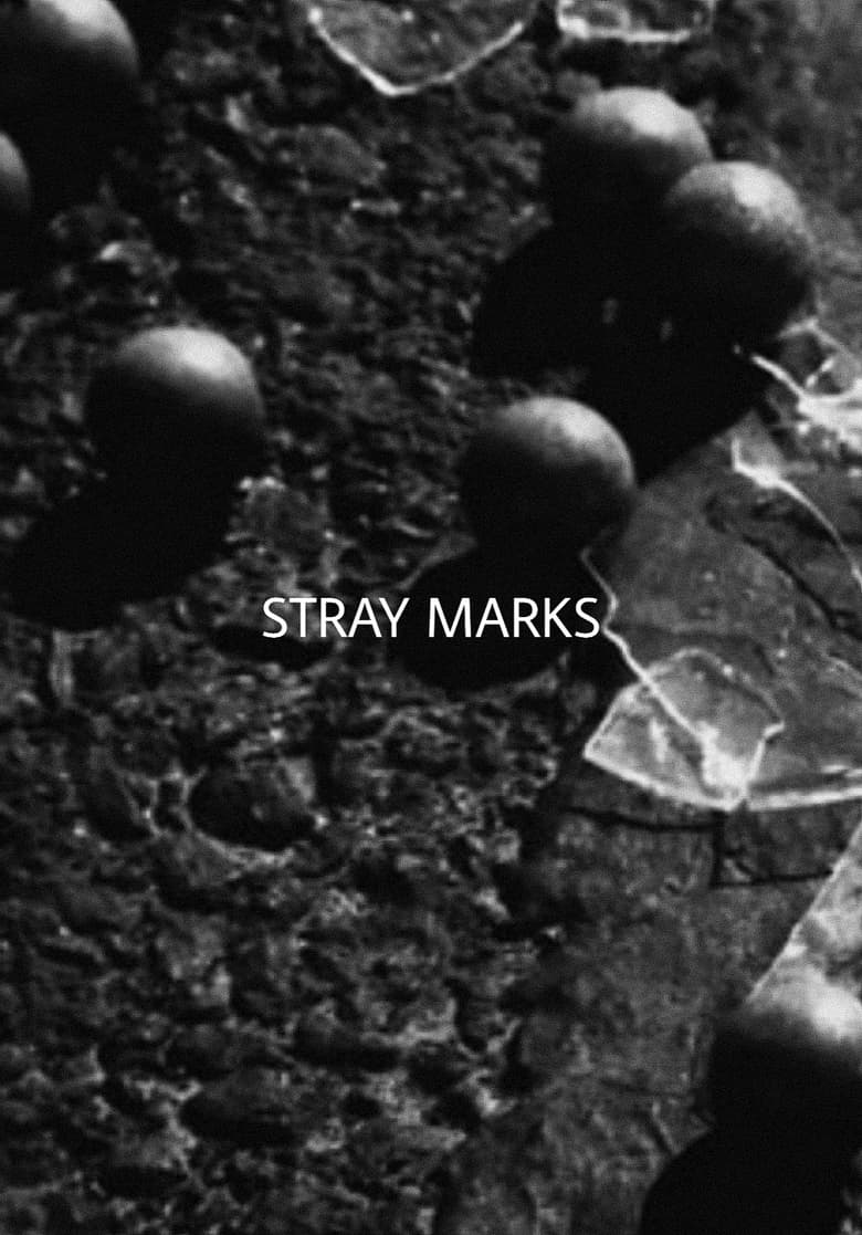 Poster of Stray Marks