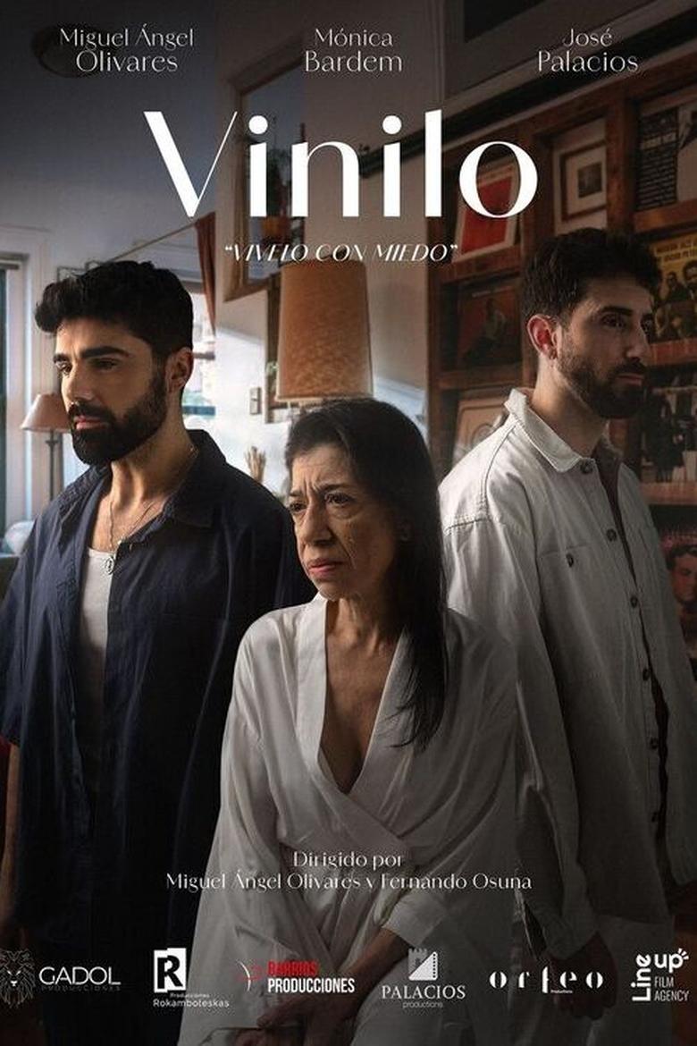 Poster of Vinilo