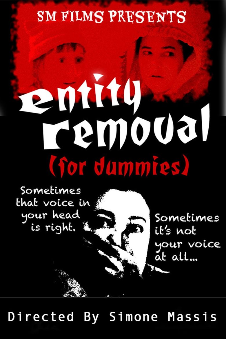 Poster of Entity Removal (for dummies)