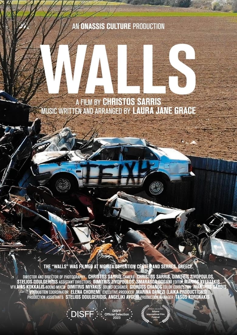 Poster of Walls