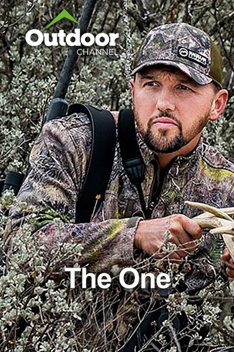 Poster of The One