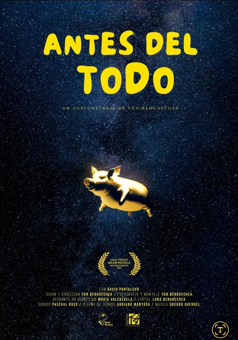 Poster of ANTES DEL TODO