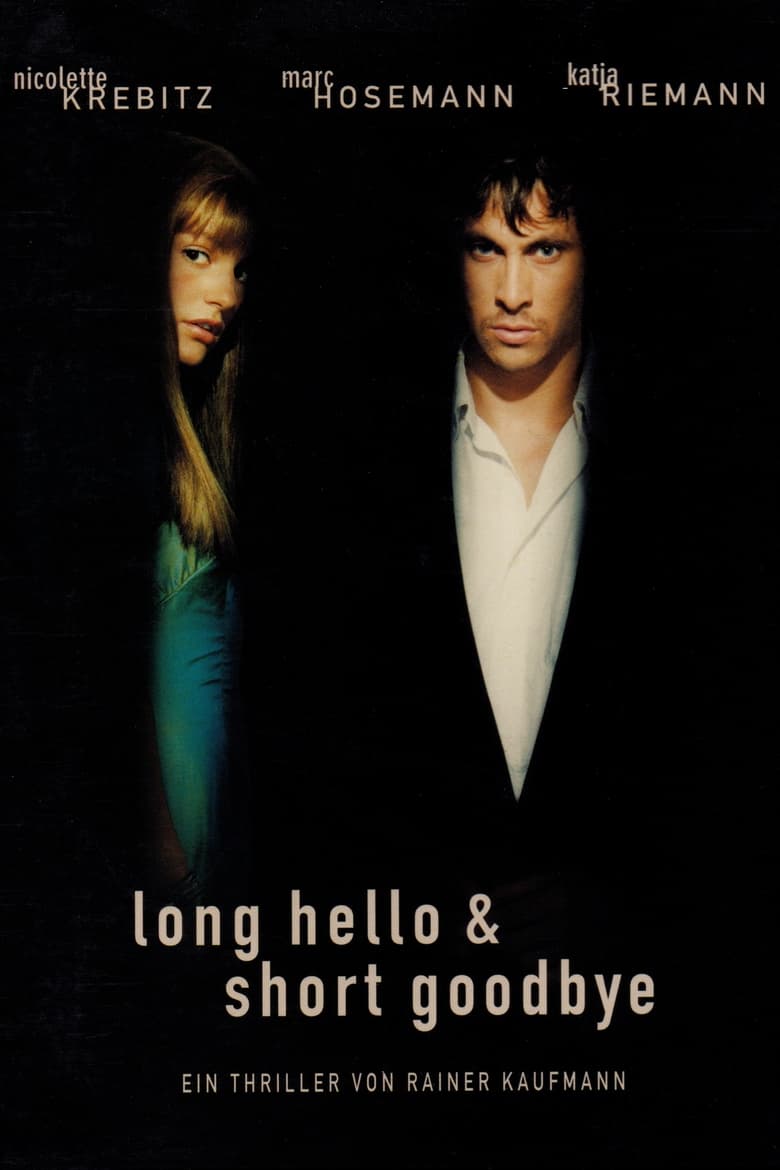 Poster of Long Hello and Short Goodbye