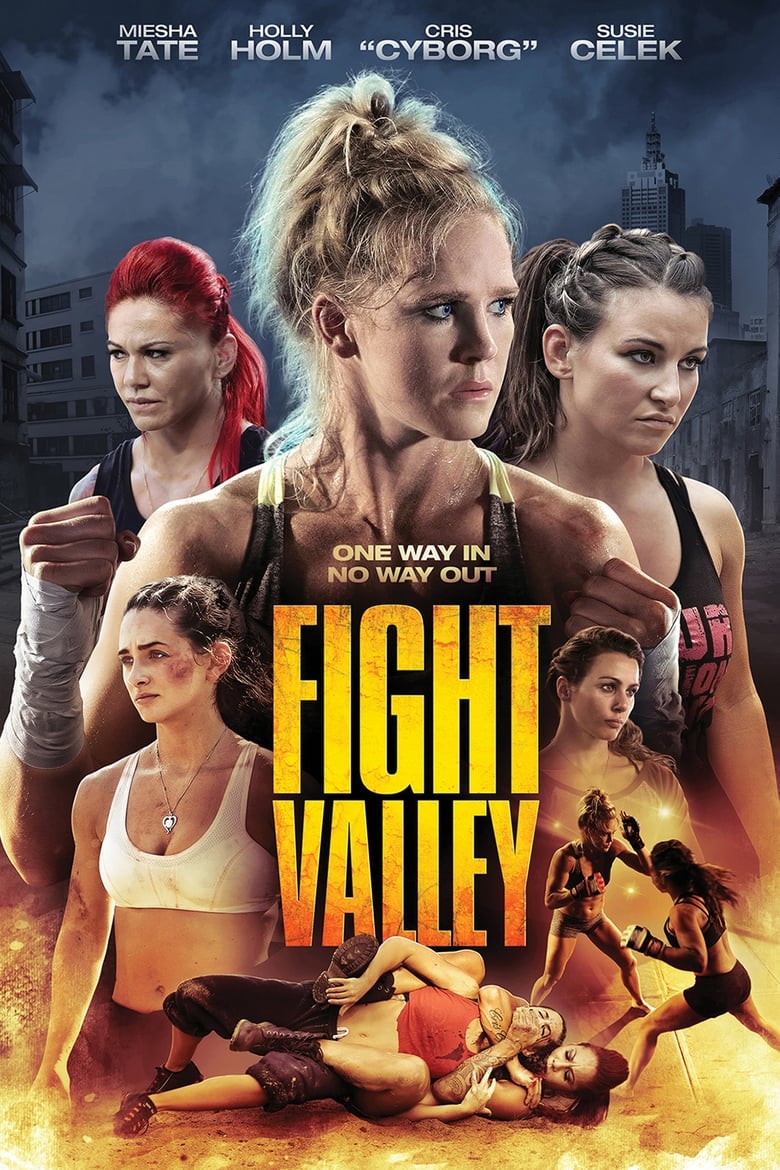 Poster of Fight Valley