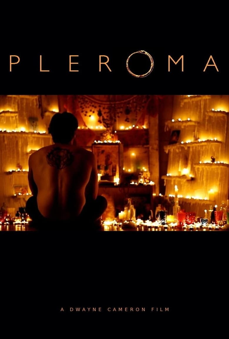 Poster of Pleroma