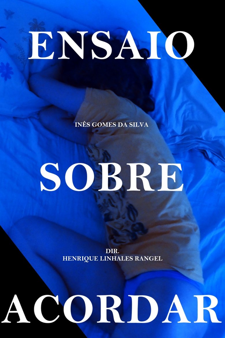 Poster of Ensaio Sobre Acordar