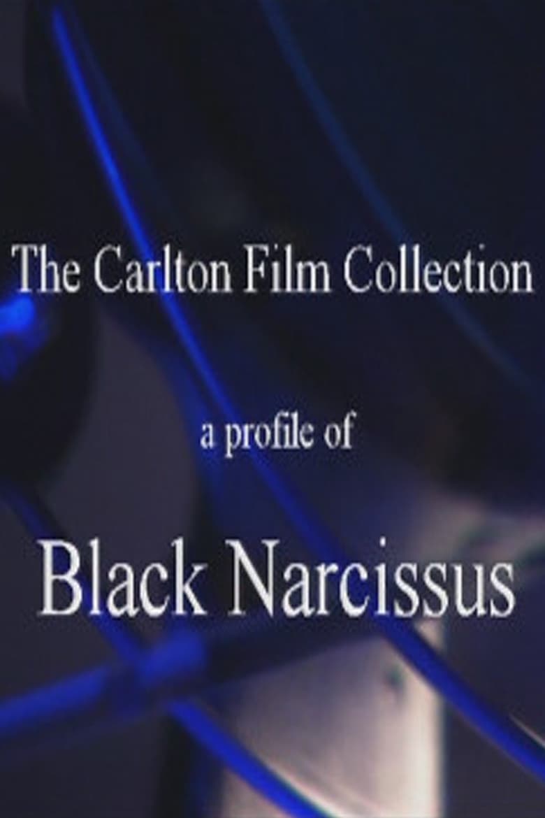 Poster of A Profile of 'Black Narcissus'