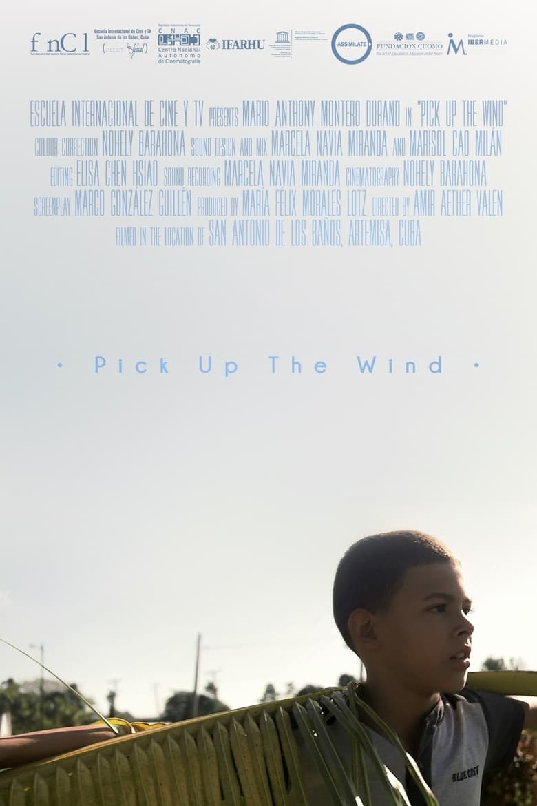 Poster of Pick up the Wind