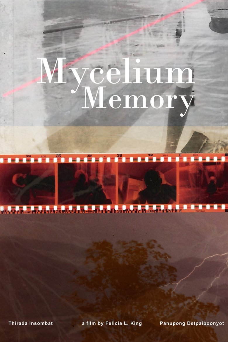 Poster of Mycelium Memory