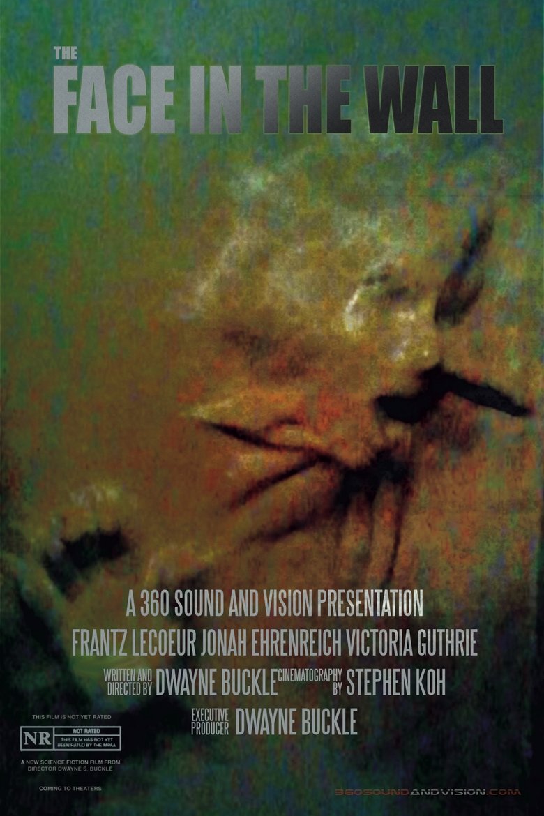 Poster of The Face in the Wall