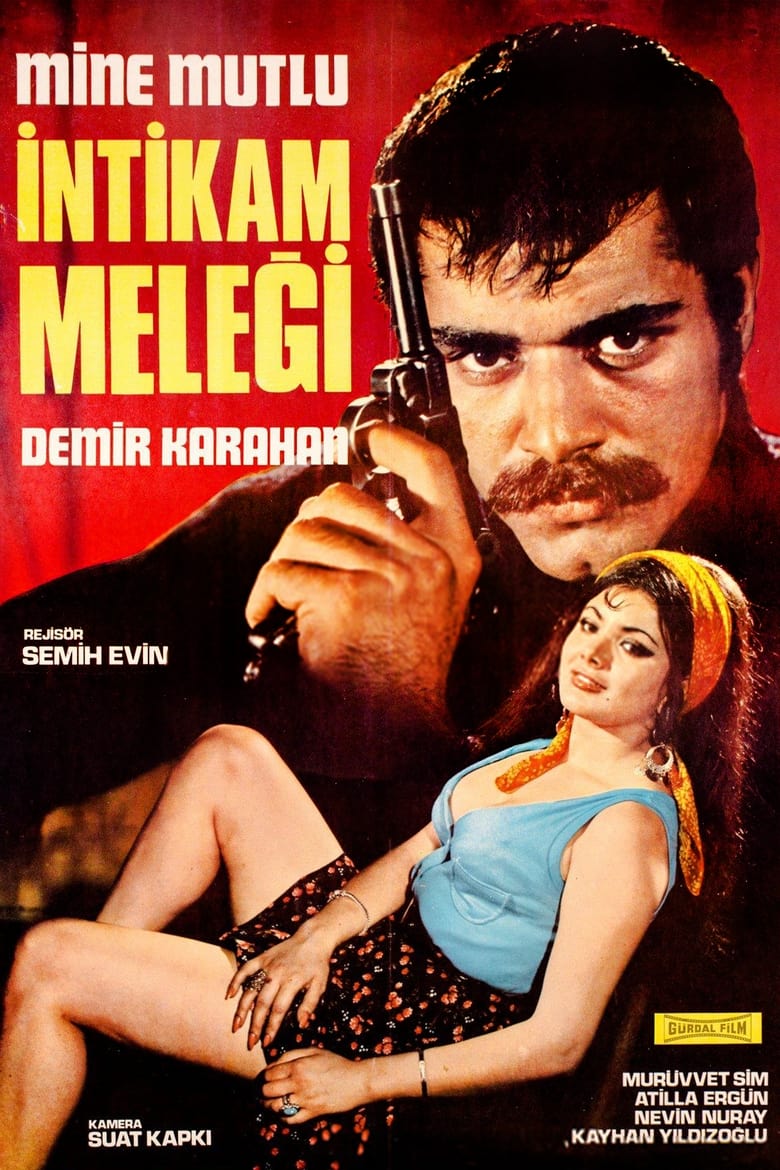 Poster of İntikam Meleği