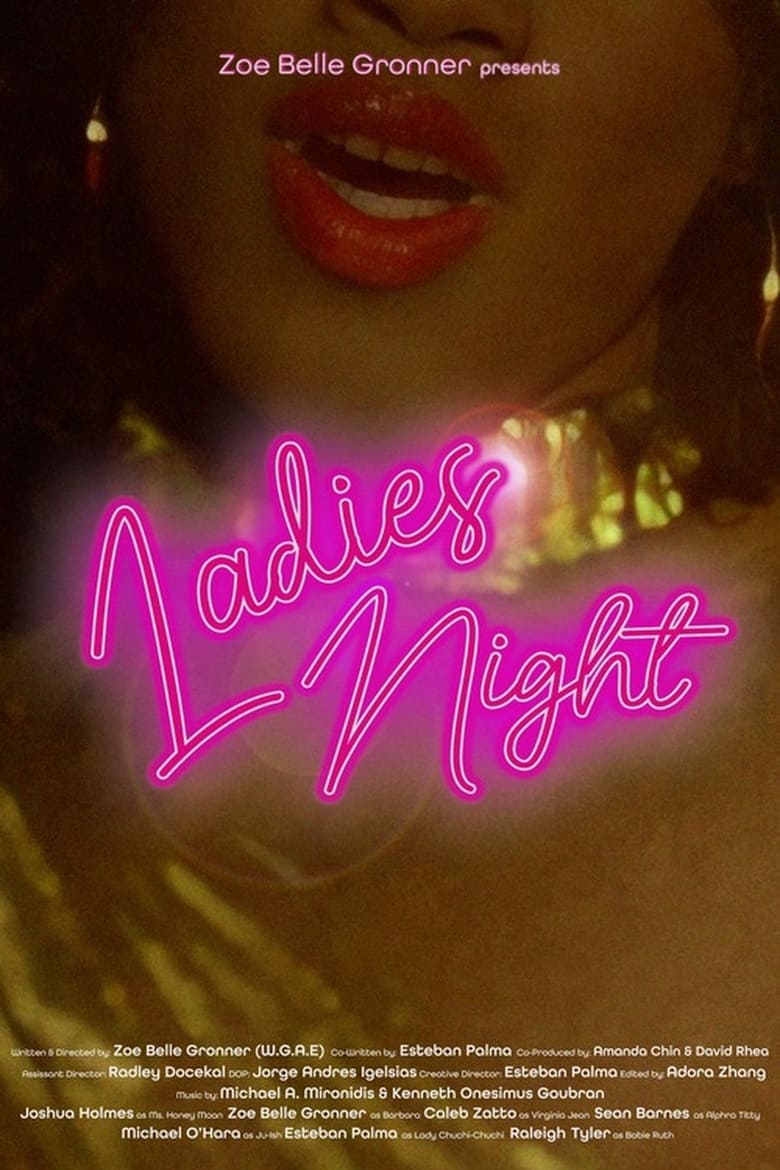 Poster of Ladies Night