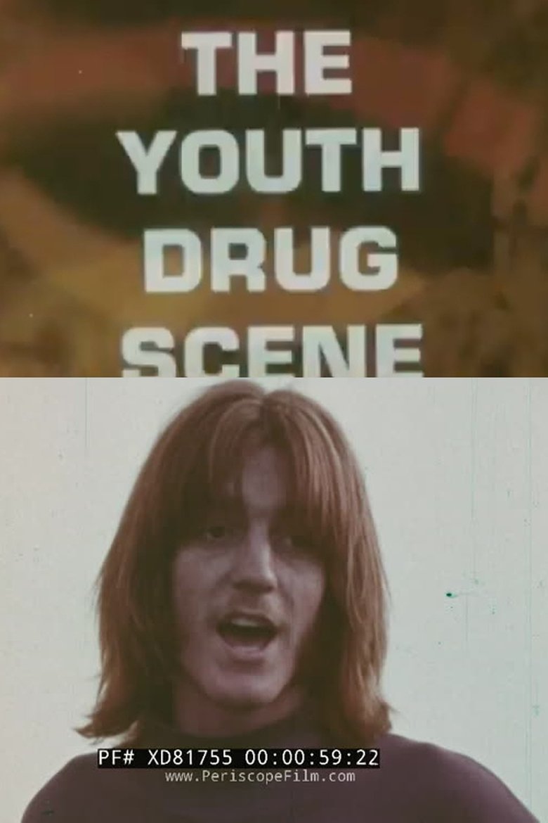 Poster of The Youth Drug Scene