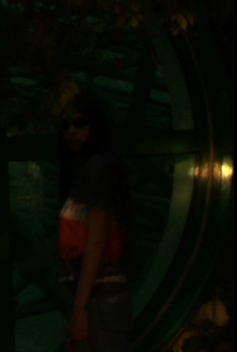 Poster of Waning