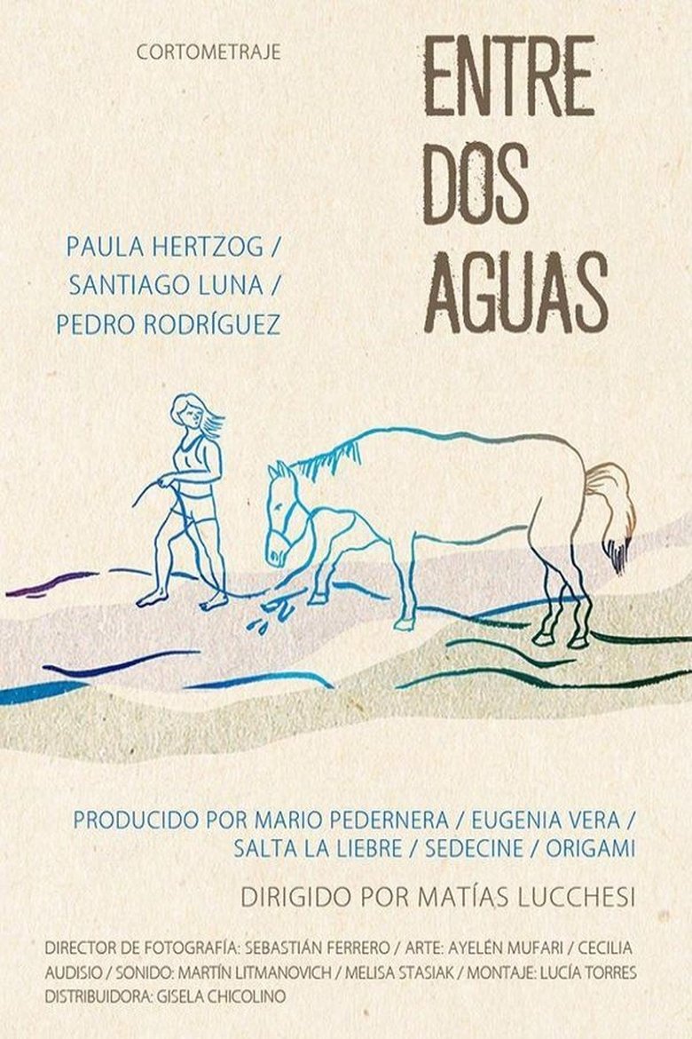 Poster of Entre dos aguas