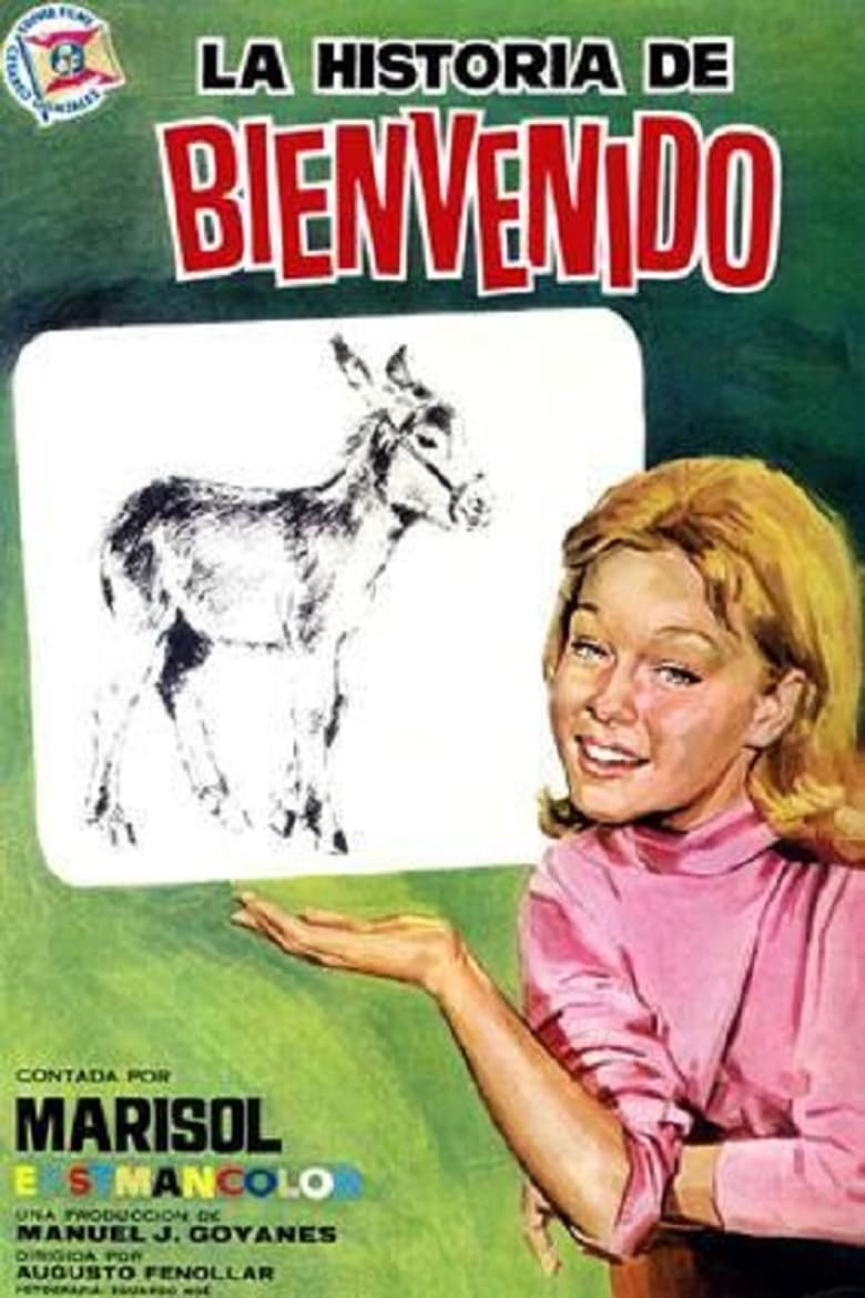 Poster of The Bienvenido's Story