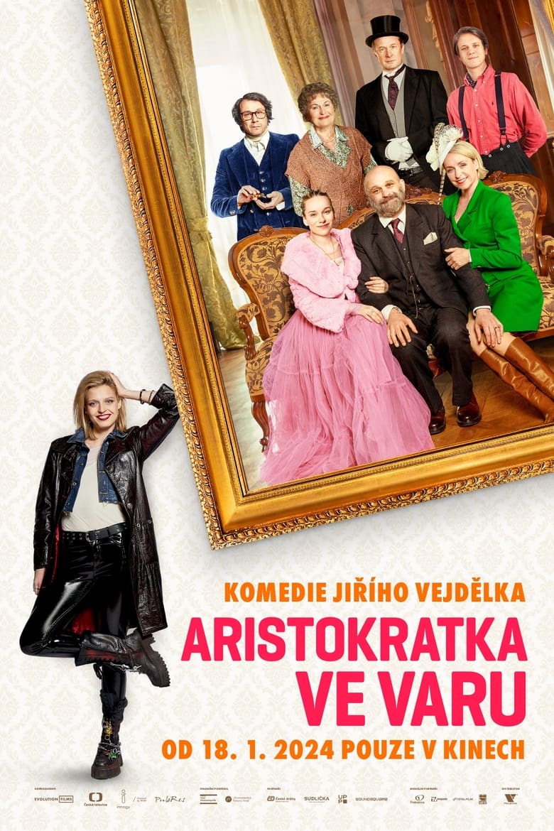 Poster of Aristocrat in the Boil