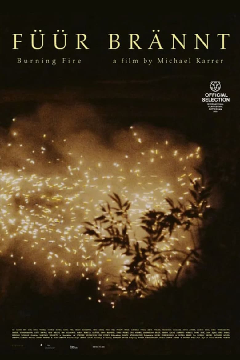 Poster of Burning Fire