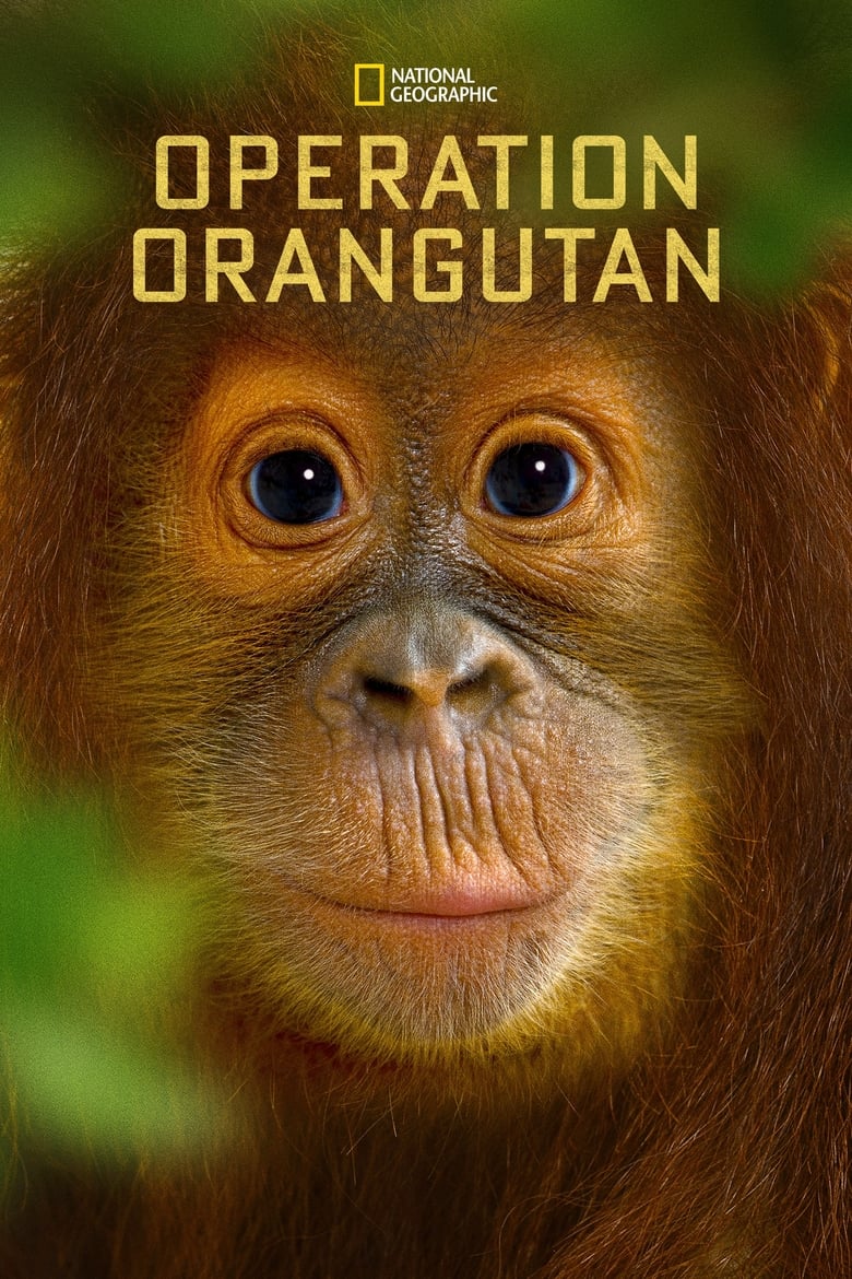 Poster of Orankipelastus