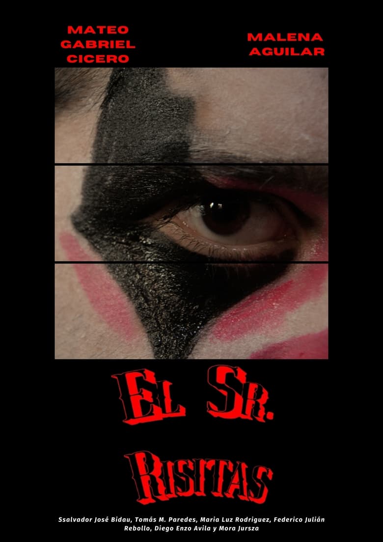 Poster of El Sr. Risitas