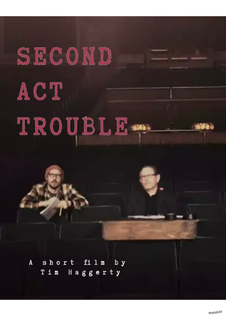 Poster of Second Act Trouble