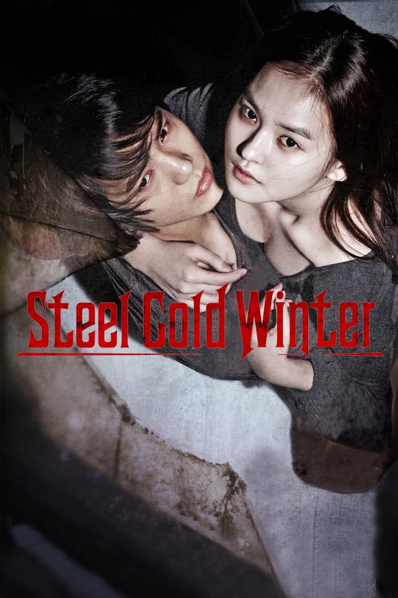 Poster of Steel Cold Winter